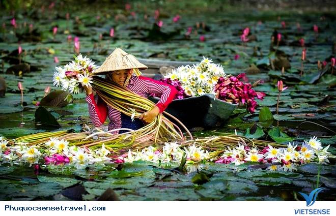 Vẻ Đẹp của An Giang Mùa Nước Nổi Vẻ Đẹp của An Giang Mùa Nước Nổi