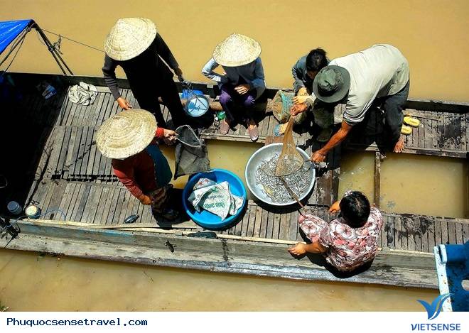 Vẻ Đẹp của An Giang Mùa Nước Nổi Vẻ Đẹp của An Giang Mùa Nước Nổi