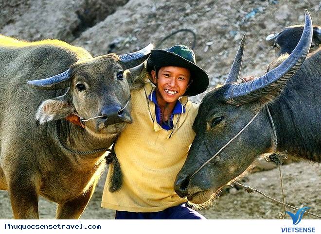 Vẻ Đẹp của An Giang Mùa Nước Nổi Vẻ Đẹp của An Giang Mùa Nước Nổi