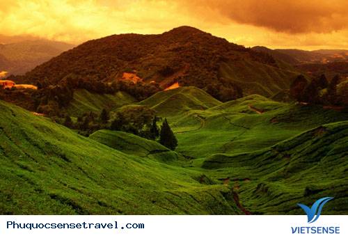 Việt Nam Có 5 Điểm Đến Vào Top hành trình Đông Nam Á - Ảnh 6 Việt Nam Có 5 Điểm Đến Vào Top hành trình Đông Nam Á - Ảnh 6