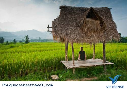 Việt Nam Có 5 Điểm Đến Vào Top hành trình Đông Nam Á - Ảnh 1 Việt Nam Có 5 Điểm Đến Vào Top hành trình Đông Nam Á - Ảnh 1