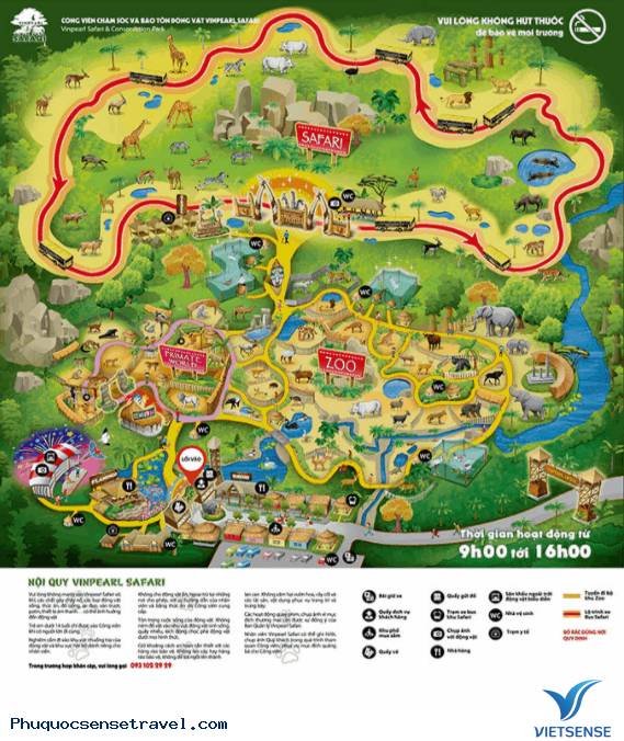 Vinpearl Safari Phú Quốc có gì hấp dẫn? Vinpearl Safari Phú Quốc có gì hấp dẫn?