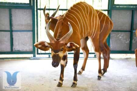 du lịch miền tây