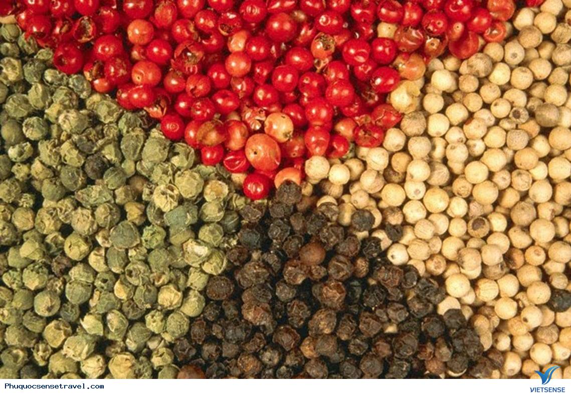 Vườn tiêu Phú Quốc - Ảnh 2