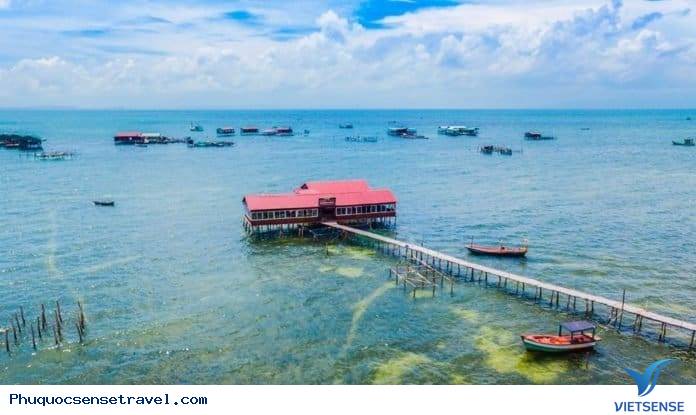 Vương quốc sao biển có gì hấp dẫn? - Ảnh 1 Vương quốc sao biển có gì hấp dẫn? - Ảnh 1