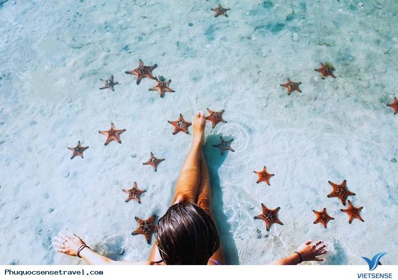 Vương quốc sao biển có gì hấp dẫn? - Ảnh 2 Vương quốc sao biển có gì hấp dẫn? - Ảnh 2